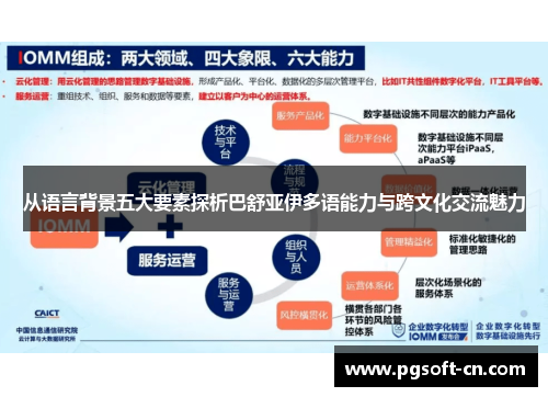 从语言背景五大要素探析巴舒亚伊多语能力与跨文化交流魅力