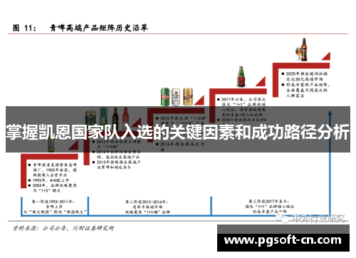 掌握凯恩国家队入选的关键因素和成功路径分析